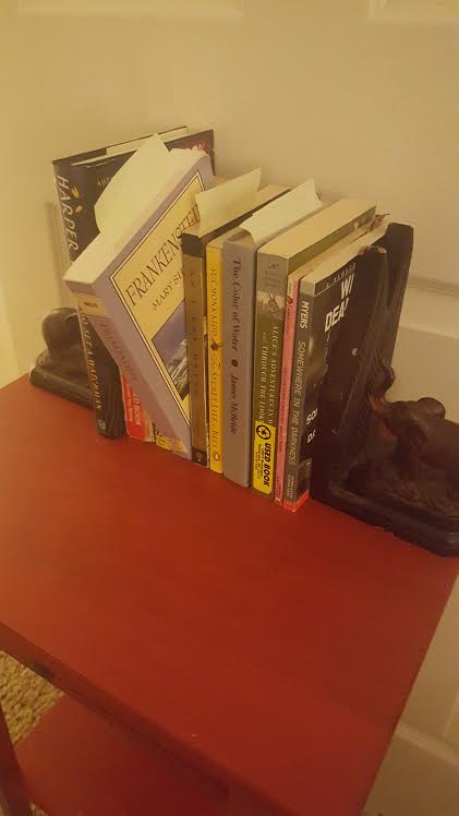 CTS blog_novel study I